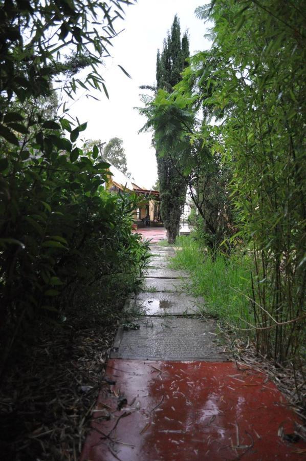 זאקאטקאס Posada Morelos מראה חיצוני תמונה